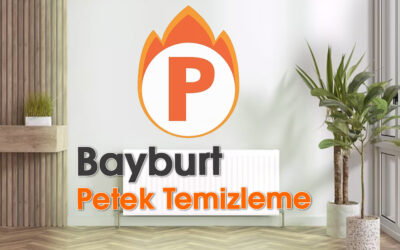 Bayburt Petek Temizleme