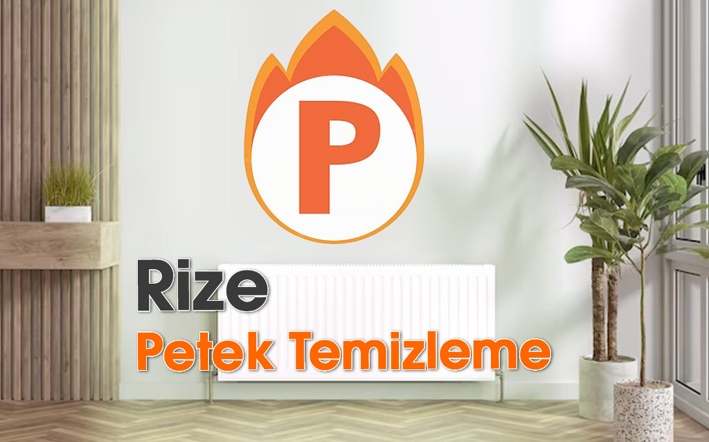 Rize Petek Temizleme